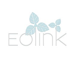 Web Logo Grafikdesign Eolink